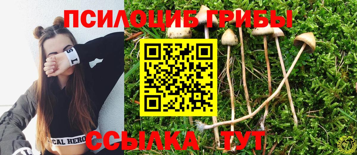 цена   Галлюциногенные грибы мухоморы  Вход с VPN  Электросталь 